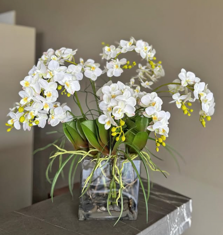 Orquideario con Mini Phalaenopsis y Follajes Artificiales en Base Rectangular de Vidrio