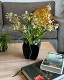Orquideario con Mini Catleya Artificial en Base de Cerámica