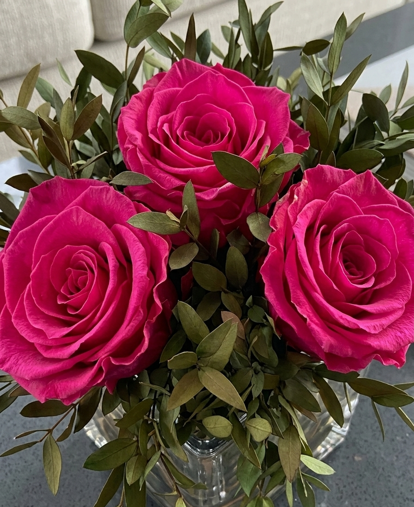 Arreglo Floral con 3 Rosas Preservadas Color Fucsia en Base Cuadrada de Vidrio con Agua Acrílica