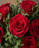 Arreglo Floral con Rosas Preservadas Rojas en Base Ovalada de Vidrio con Agua Acrílica