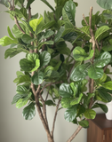 Ficus Pandurata Artificial De 2.50 mts. de Alto En Base Tibor de Fibra de Vidrio