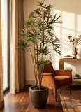 Planta Aralia Elegantísima ArtificIal de en Base Fibra de Vidrio