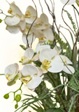 Orquideario con Phalaenopsis y Follajes Artificiales en Cilindro de Vidrio con Agua Acrílica