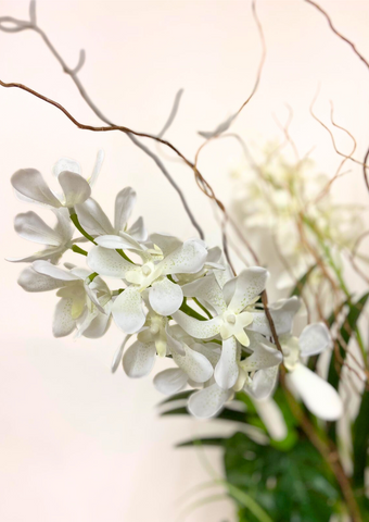 Orquideario Vanda Orchid Artificial en Cilindro de Vidrio con Agua Acrílica