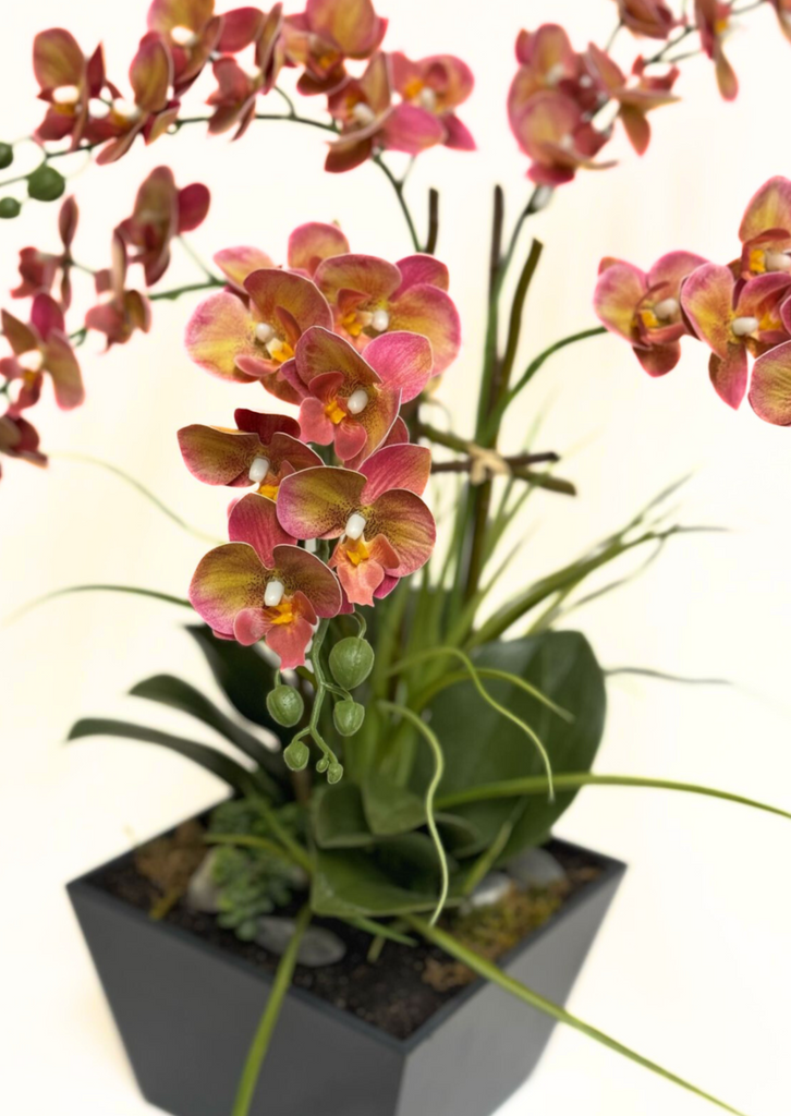 Orquideario con Phalaenopsis Artificial en Base de Cuadrada de Madera