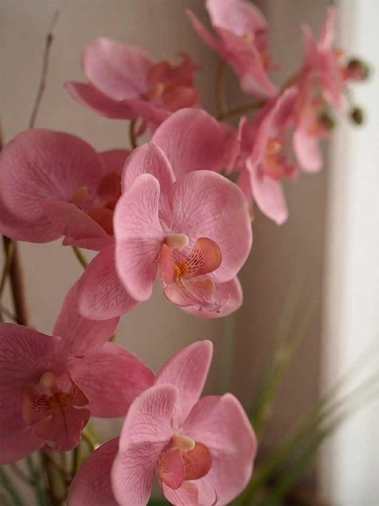 Orquideario con Phalaenopsis Rosa y Follajes Artificiales en Base de Cerámica