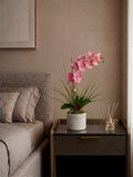 Orquideario con Phalaenopsis Rosa y Follajes Artificiales en Base de Cerámica