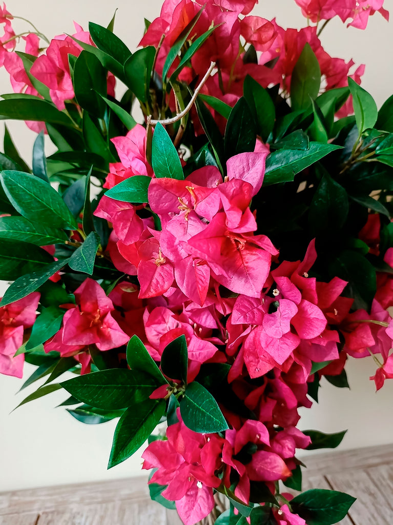 Arreglo Floral con Buganvilias y Follajes en Cilindro con Agua Acrílica (Única Pieza)