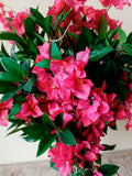 Arreglo Floral con Buganvilias y Follajes en Cilindro con Agua Acrílica (Única Pieza)