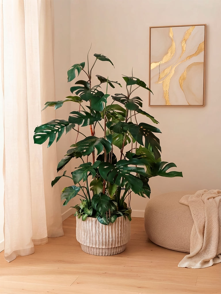Planta Monstera con Nephthitis Artificial de 1.60 Mts de Alto En Base Fibra de Arcilla
