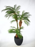 Palma Areca 1.80 Mts en Base Tibor Chica de Fibra de Vidrio