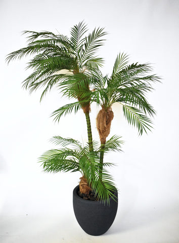 Palma Areca 1.80 Mts en Base Tibor Chica de Fibra de Vidrio
