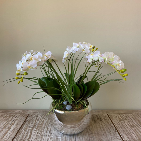 Orquideario con Mini Phalaenopsis Artificial en Base Tipo Espejo