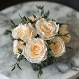 Arreglo Floral con Rosas Champagne Preservadas en Base Cuadrada de Vidrio con Agua Acrílica