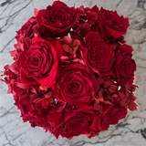 Arreglo Floral con Rosas e Hidrangeas Preservadas Color Rojo en Base Cuadrada de Vidrio con Agua Acrílica