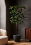 Árbol Shady Lady de 2.40 Mts Artificial en Base de Arcilla