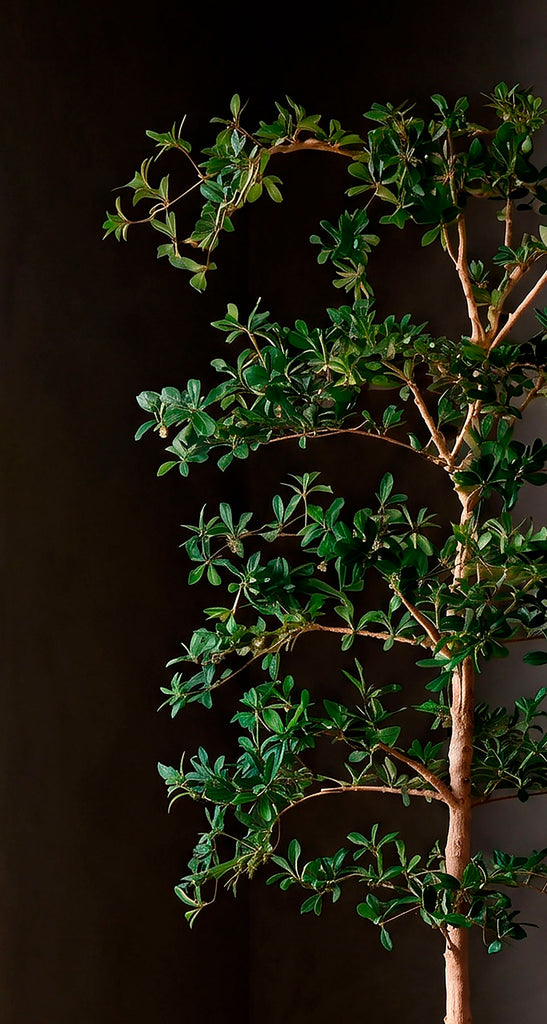 Árbol Shady Lady de 2.40 Mts Artificial en Base de Arcilla