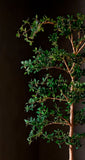 Árbol Shady Lady de 2.40 Mts Artificial en Base de Arcilla