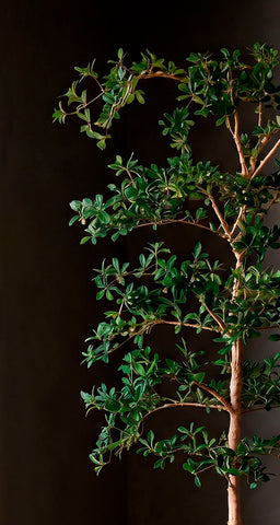 Árbol Shady Lady de 2.40 Mts Artificial en Base de Arcilla