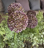 Set de 4 Botellas con Allium Artificiales en Base de Herrería con Agua Acrílica