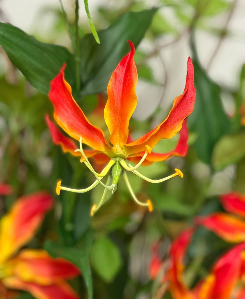 Arreglo con Gloriosa Lily y Follajes Artificiales en Florero de Vidrio con Agua Acrílica