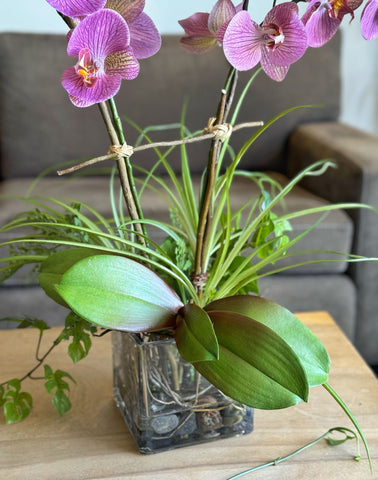 Orquideario con Phalaenopsis Rosa Artificial en Base Cuadrada de Vidrio con Agua Acrílica