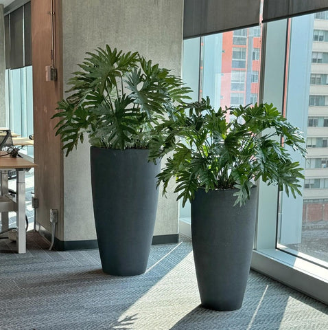 Planta Philodendron Artificial con Helechos en Base Jarrón Grande Fuente de Fibra de Vidrio