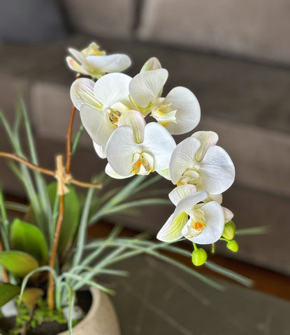 Orquideario con Dos Phalaenopsis Blancas Artificial en Base Tipo Cantera