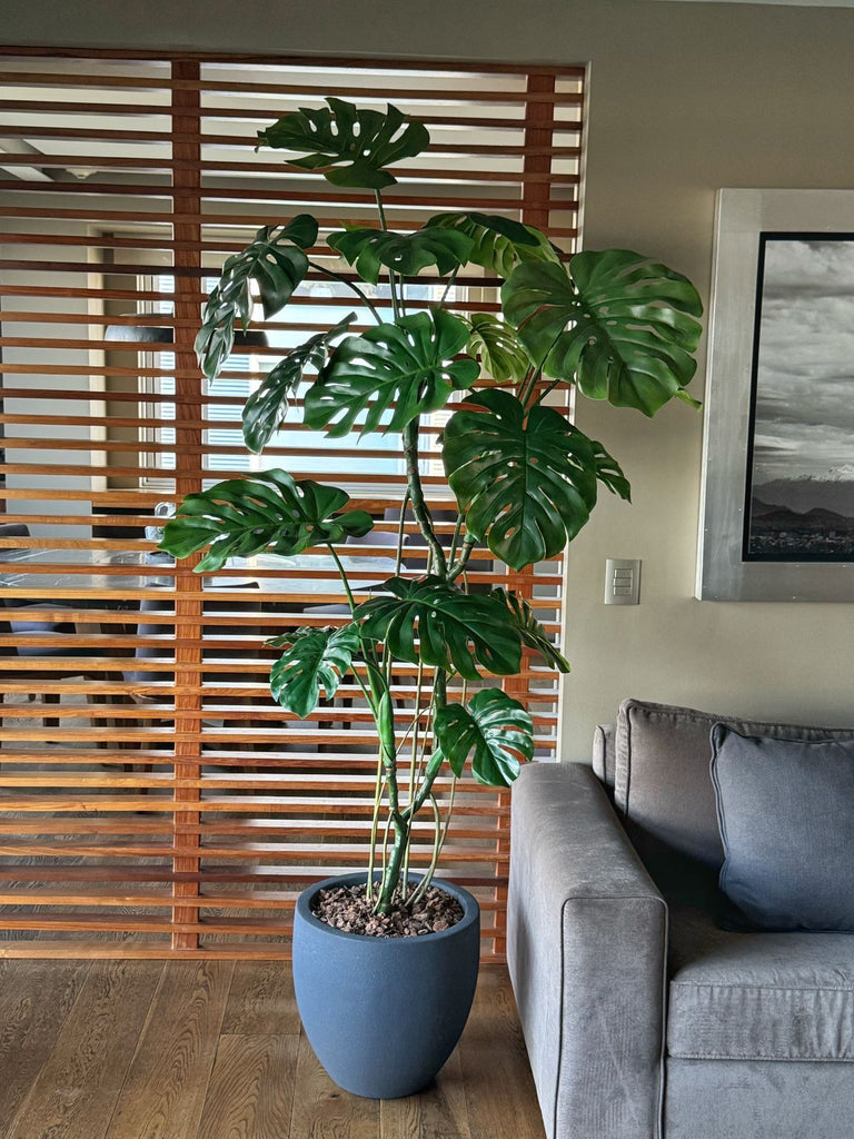 Planta Monstera de 2.10 mts Artificial en Base Tibor Chico de Fibra de Vidrio