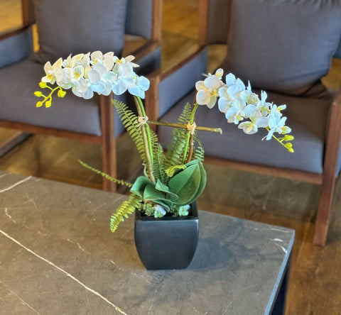Orquideario con Mini Phalaenopsis Blanca Artificial en Base de Ceramica