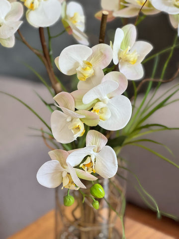 Orquideario con Phalaenopsis Artificiales Blancas en Florero de Vidrio con Agua Acrílica