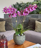 Orquideario con Phalaenopsis Moteada Artificial en Base Tipo Cantera