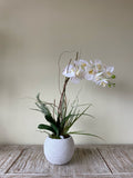 Orquideario con Phalaenopsis Articial en Base Tipo Cantera