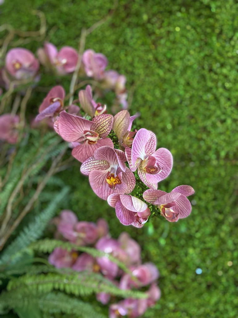 Orquideario con Phalaenopsis Rosas Artificiales en Florero de Vidrio con Agua Acrílica