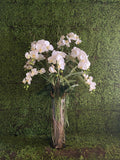 Orquideario con Phalaenopsis Blancas Artificiales en Florero de Vidrio con Agua Acrílica