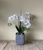 Orquideario con Tres Phalaenopsis Articiales en Base Tipo Cantera