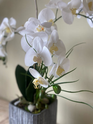 Orquideario con Tres Phalaenopsis Articiales en Base Tipo Cantera