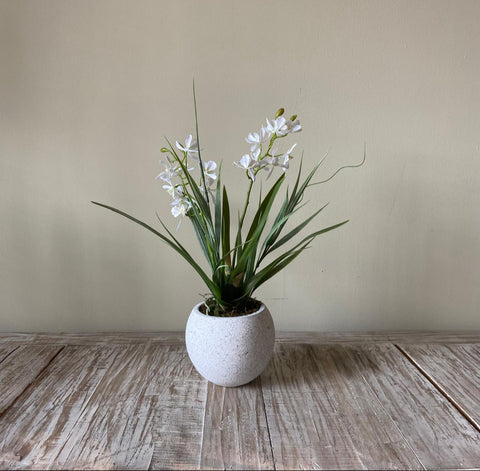 Orquideario con Mini Catleya Blanca Artificial en Base Tipo Cantera