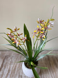 Orquideario con Mini Catleya Amarilla Artificial en Base Tipo Cantera
