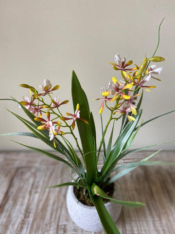 Orquideario con Mini Catleya Amarilla Artificial en Base Tipo Cantera