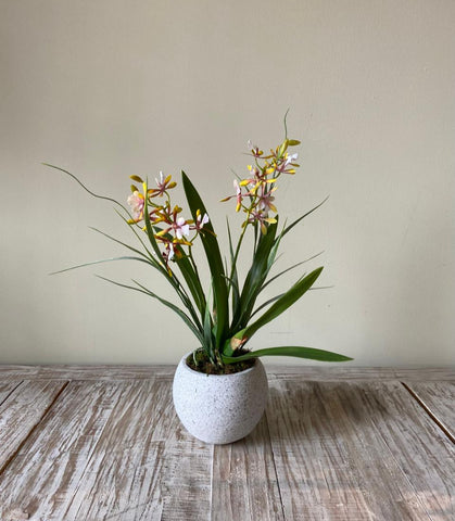 Orquideario con Mini Catleya Amarilla Artificial en Base Tipo Cantera