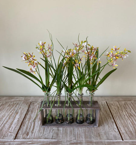 Set de 5 Botellas con Mini Catleya Artificiales en Base de Madera