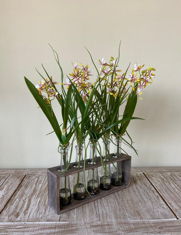 Set de 5 Botellas con Mini Catleya Artificiales en Base de Madera