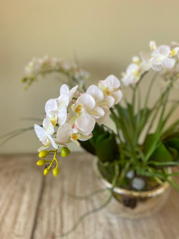 Orquideario con Mini Phalaenopsis Artificial en Base Tipo Espejo