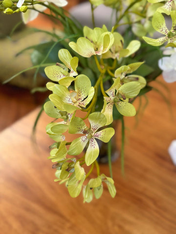Orquideario con Mini Vanda Orchid y Mini Phalaenopsis Artificial en Florero de Vidrio