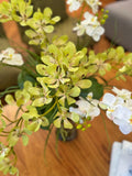 Orquideario con Mini Vanda Orchid y Mini Phalaenopsis Artificial en Florero de Vidrio