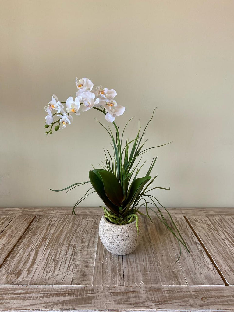 Orquideario con Mini Phalaenopsis Blanca Artificial en Base Tipo Cantera