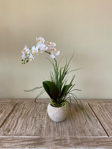 Orquideario con Mini Phalaenopsis Blanca Artificial en Base Tipo Cantera