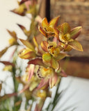Orquideario con Cymbidium y Follajes Artificiales en Base Cantera