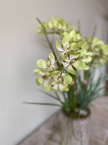 Orquideario con Vanda Orchid y Follajes Artificiales en Base Cantera